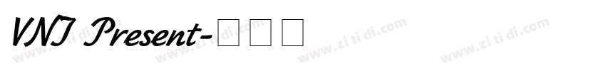 VNI Present字体转换